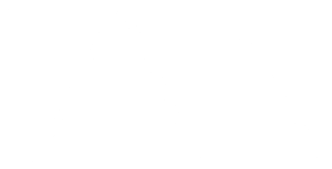 FAIN Logo